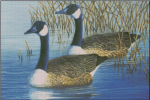 (image for) Feathered Spirits